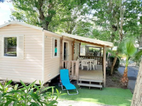 Mobilhome dans Camping les Sables d'or